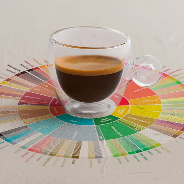 Café expresso italiano: a experiência do café através dos nossos sentidos