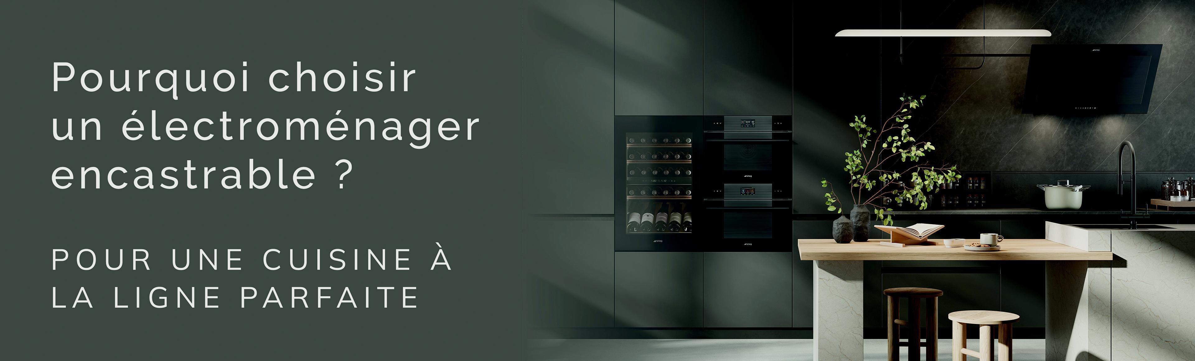 Installation encastrable SMEG